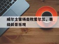 开云官网-威尔士客场击败爱尔兰，晋级前景乐观的简单介绍