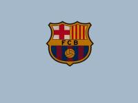 开云足球直播-世界杯之夜，霍勒迪展现巨星价值