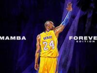 开云体育下载-从华沙到多哈，当波兰铁骑横扫加纳，阿劳霍在绿茵场上完成灵魂的救赎