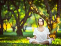 开云体育app-篮网制霸深圳队，布克成为关键先生，一场跨洋篮球对话的启示