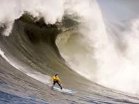 开云体育直播-威廉姆斯力克法拉利，汉密尔顿如何带队重铸传奇