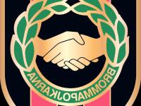 开云体育直播-瑞典队大胜，永不言败，稳居晋级行列的简单介绍