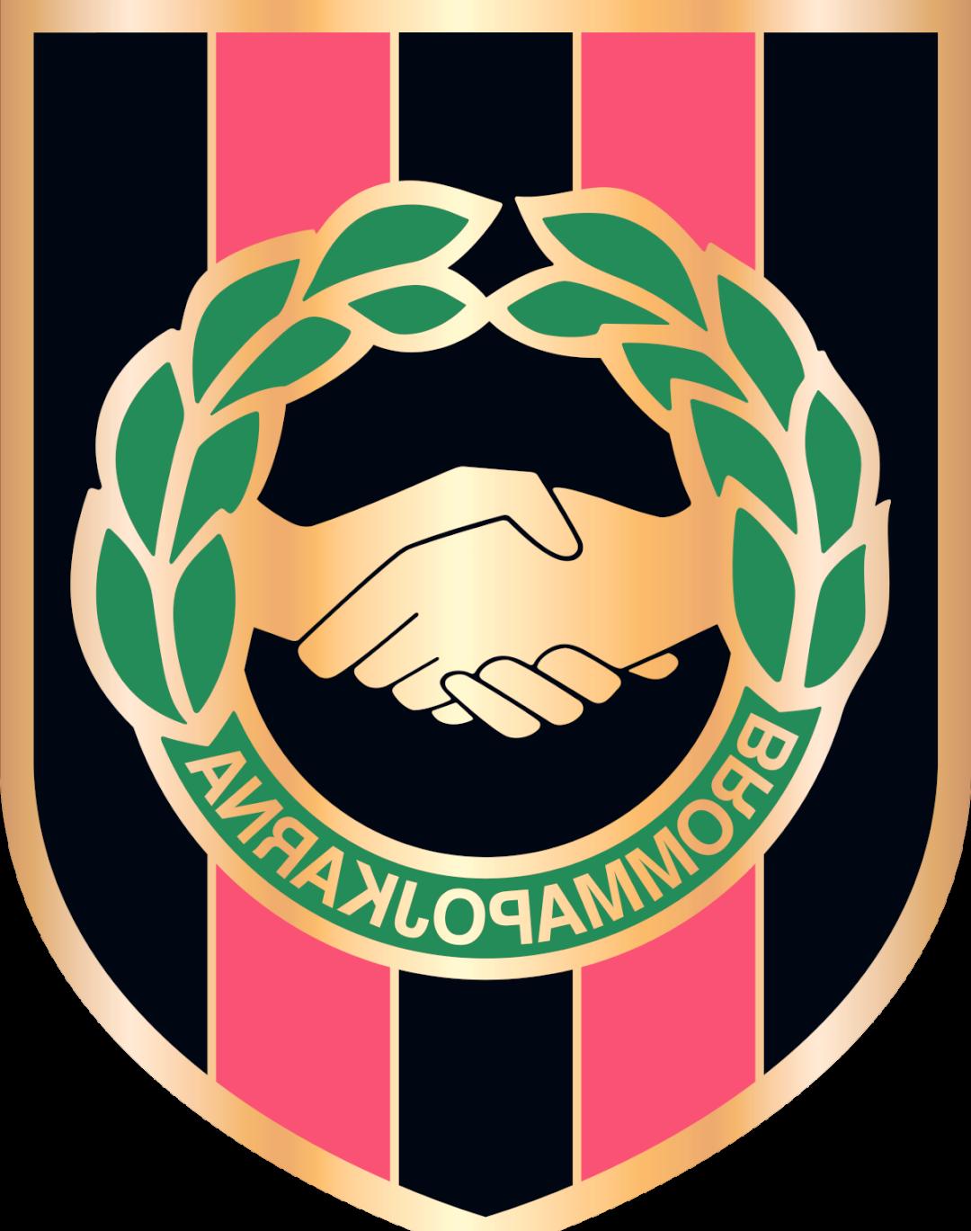 瑞典队大胜，永不言败，稳居晋级行列的简单介绍